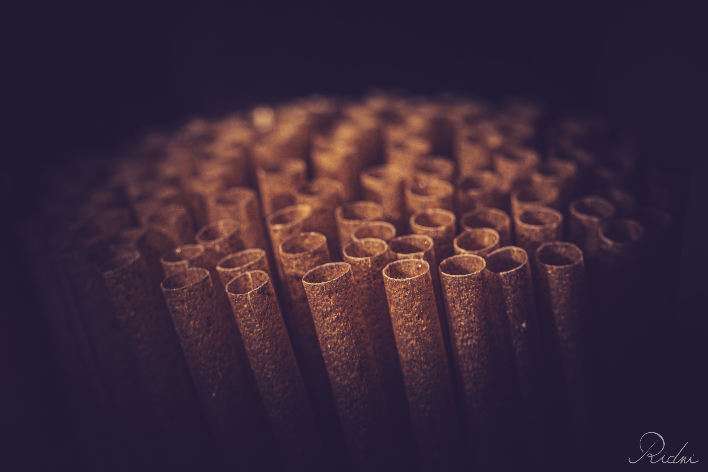Close-up of textured straws at bar Zona in lignano, friuli, showcasing warm tones and a shallow depth of field against a dark background.